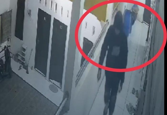 lettersforvivian.org