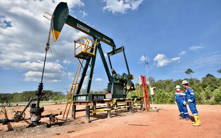 lettersforvivian.org