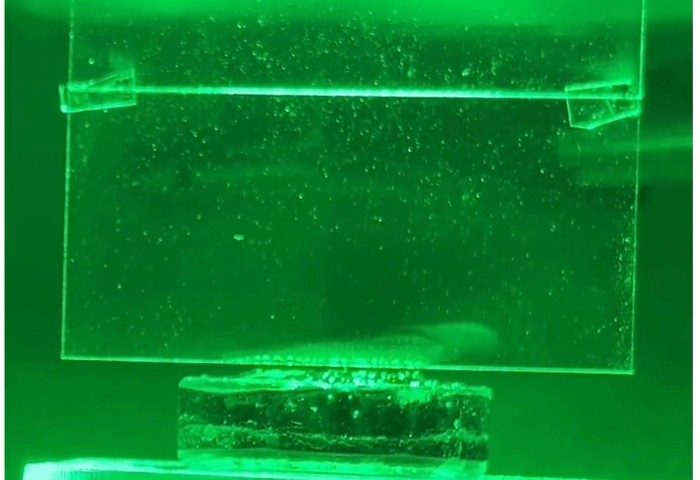 lettersforvivian.org